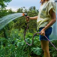 Watering